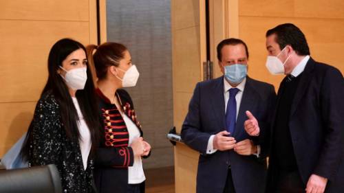 Los miembros de la Comisión conversan con Amilivia